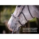 Bridon Hackamore - Collection week - Jump in