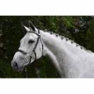 Bridon Hackamore - Collection week - Jump in