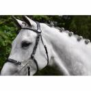 Bridon Hackamore - Collection week - Jump in