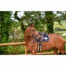 Bridon Hackamore - Collection week - Jump in