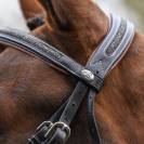 Bridon Crystal muserolle combinée - Collection week - Jump in