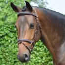 Bridon Crystal muserolle combinée - Collection week - Jump in