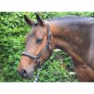 Licol Crystal - Collection Week - Jump in