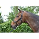 Licol Crystal - Collection Week - Jump in