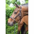 Licol wednesday - Collection Week - Jump in