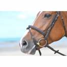 Muserolle Tuesday - Jump in