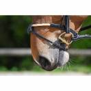 Muserolle combinée corde - Jump'in