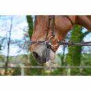 Muserolle allemande - Jump'in