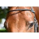 Frontal Monday Collection Week Jump in