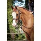 Enrênement Patrick - Jump'in