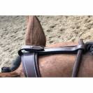 Enrênement Patrick - Jump'in