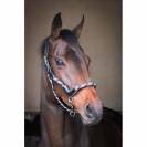 Licol travel - Collection One - Jump in