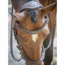 Bridon Manhattan - Collection One - Jump in