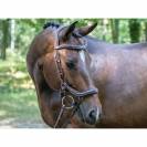 Bridon Manhattan - Collection One - Jump in