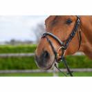Bridon Clincher - Collection One Premium - Jump in