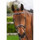 Bridon Clincher - Collection One Premium - Jump in