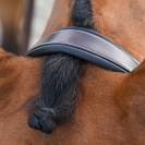 Bridon Clincher - Collection One Premium - Jump in