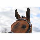 Bridon Clincher - Collection One Premium - Jump in