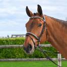 Bridon Clincher - Collection One Premium - Jump in