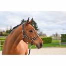 Licol Clincher - Collection One Premium - Jump in