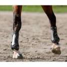 Gu&ecirc;tres Zandona Carbon Chic Noir