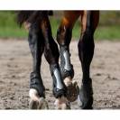 Gu&ecirc;tres Zandona Carbon Chic Noir