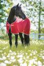 Chemise s&eacute;chante Amigo net cooler - Horseware - polyester
