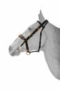 Bridon/licol combine cuir - HFI - cuir noir