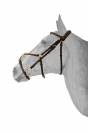 Bridon fancy muserolle mexicaine - HFI - boucles laiton
