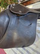 Selle Godignon Jump'in 17"