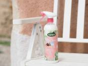 D&eacute;m&ecirc;lant easy shine - Ravene - 750ml