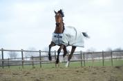 Couverture Power Turnout medium Bucas
