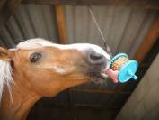 Bonbons likit granola