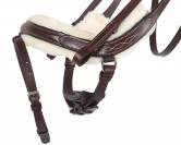 Bridon cuir et mouton ontario QHP