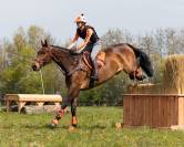 Tapis de selle country Vegas QHP