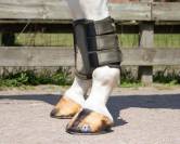 Guêtres fermées havana QHP