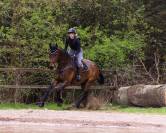 Tapis de selle Eldorado QHP