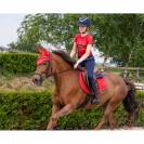 Tshirt technique zora qhp