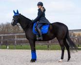 Manteau long Linde QHP