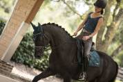 Tapis de dressage Aurora Lamicell