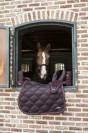 Tapis de dressage Aurora Lamicell