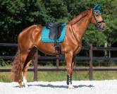 Tapis de dressage Denver QHP