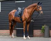 Tapis de dressage Denver QHP