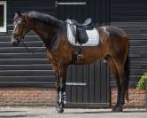 Tapis de dressage Denver QHP