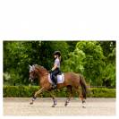 Tshirt CIS enfant BR