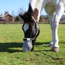 Protection solaire de nez Equilibrium