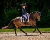 Veste concours enfants Kae QHP