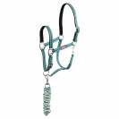 Licol &eacute;thologique doubl&eacute; + longe assortie - br - nylon