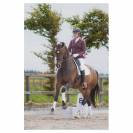 Veste concours Crystal Harrys horse