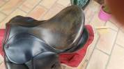 Selle de dressage Stubben Juventus 17 pouce